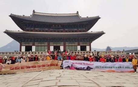DƯỢC PHẨM HOÀNG SƠN DU LỊCH HÀN QUỐC NĂM 2019